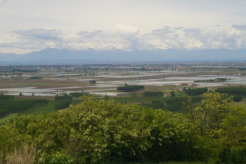 Foto del Comune di Coniolo (AL)Coniolo Monferrato (AL)_16